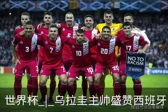 世界杯 | 乌拉圭主帅盛赞西班牙“精致足球”
