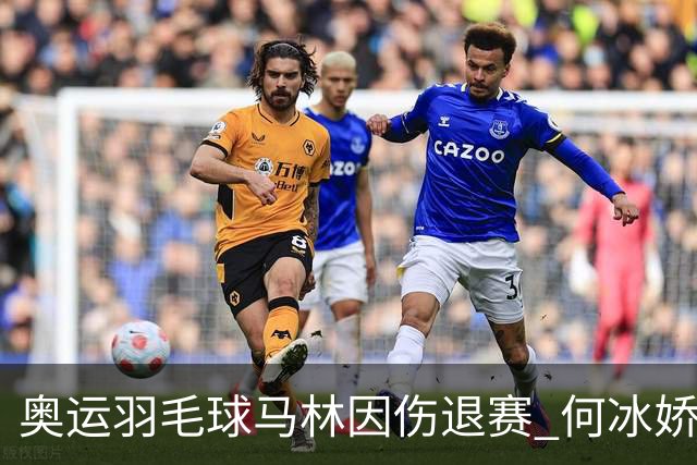 奥运羽毛球马林因伤退赛 何冰娇进决赛将战安洗莹