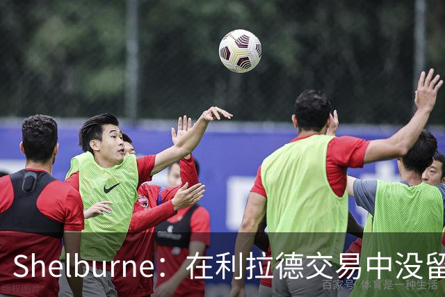 Shelburne：在利拉德交易中没留住霍勒迪是字母哥离开雄鹿的原因